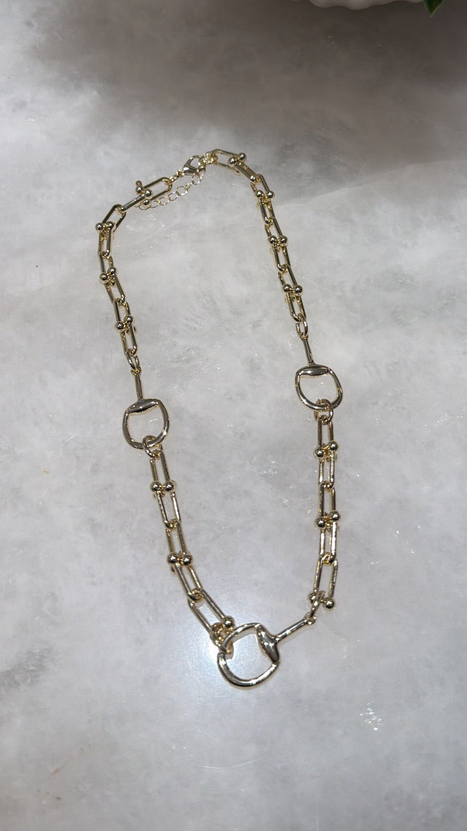 Rodeo Chain Necklace