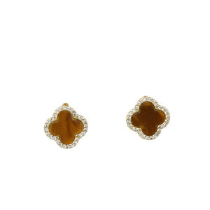 The Clover Stud – Golden Brown