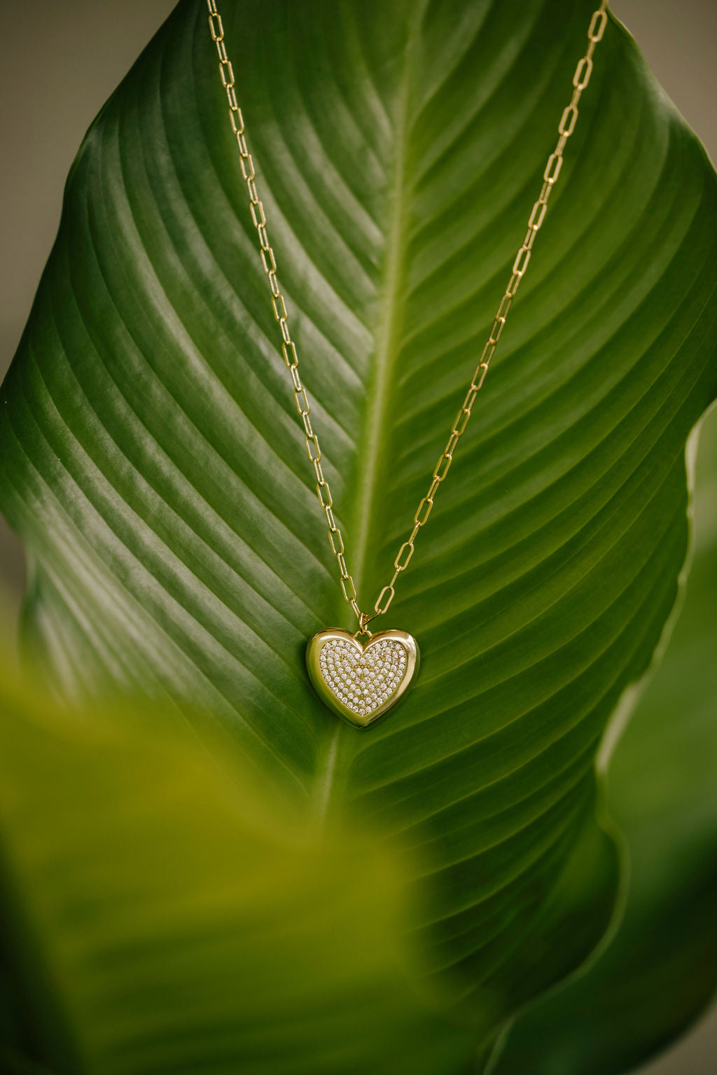 Amour Heart Necklace