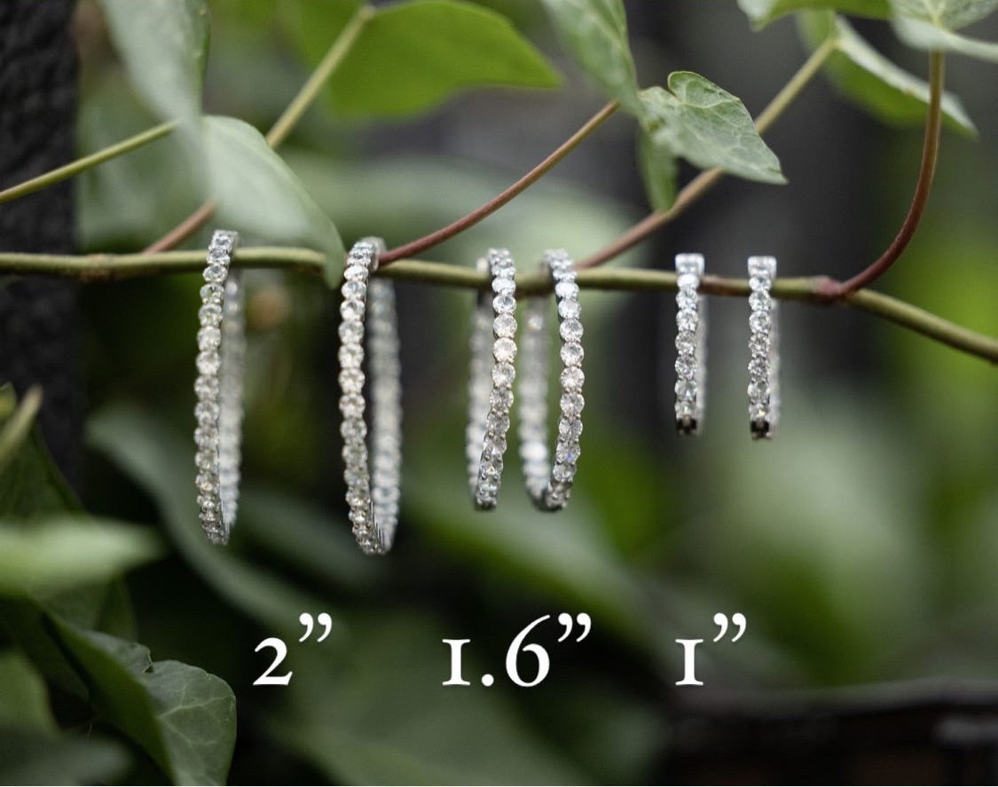 The Bitz Cz Hoop Earring